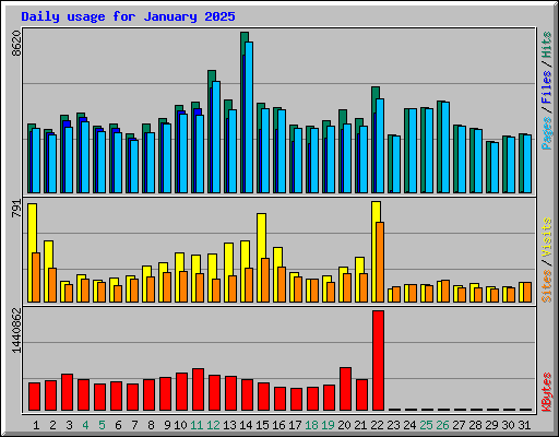 Daily usage for January 2025