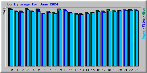 Hourly usage for June 2024
