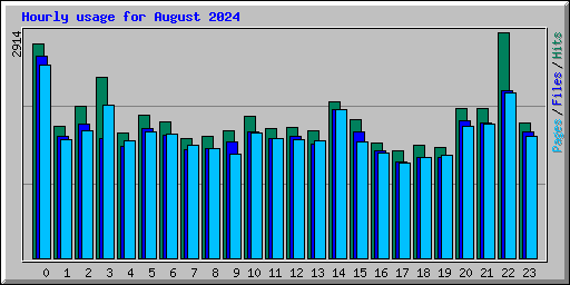 Hourly usage for August 2024