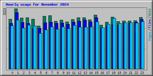 Hourly usage for November 2024
