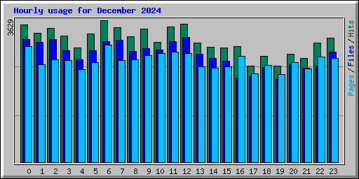Hourly usage for December 2024