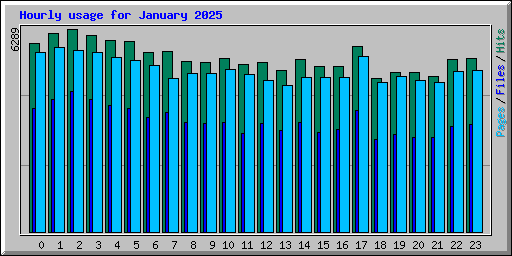 Hourly usage for January 2025