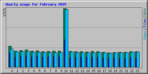 Hourly usage for February 2025