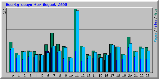 Hourly usage for August 2025
