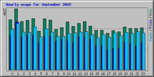 Hourly usage for September 2025