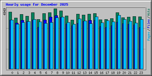 Hourly usage for December 2025